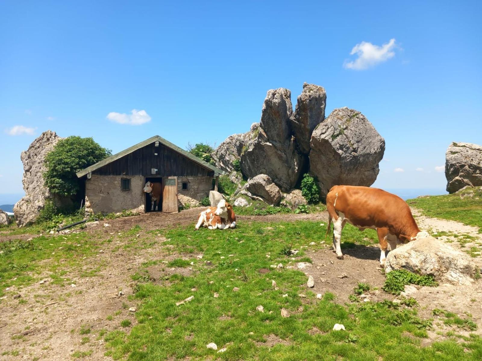 Ferienhaus Westerbuchberg Übersee Zewnętrze zdjęcie